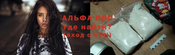 шишки Осташков