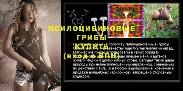 шишки Осташков