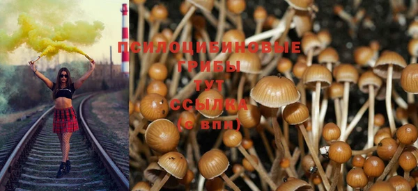 ALPHA-PVP Остров