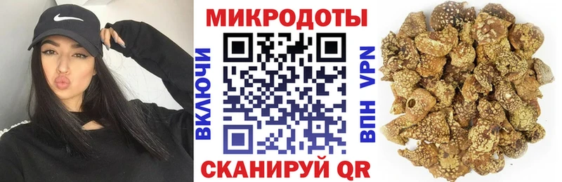 Галлюциногенные грибы Psilocybe  Кулебаки 