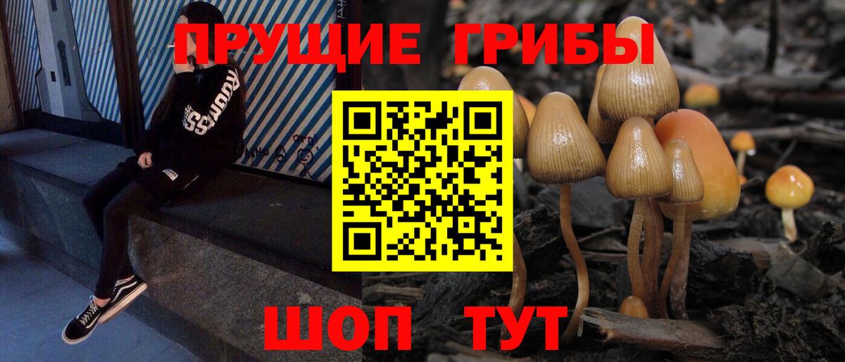Галлюциногенные грибы Psilocybine cubensis  Вход с VPN  Кулебаки 